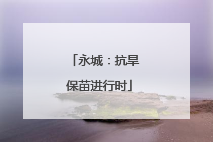 永城：抗旱保苗进行时